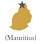 Premium Investments (Mauritius) Co Ltd