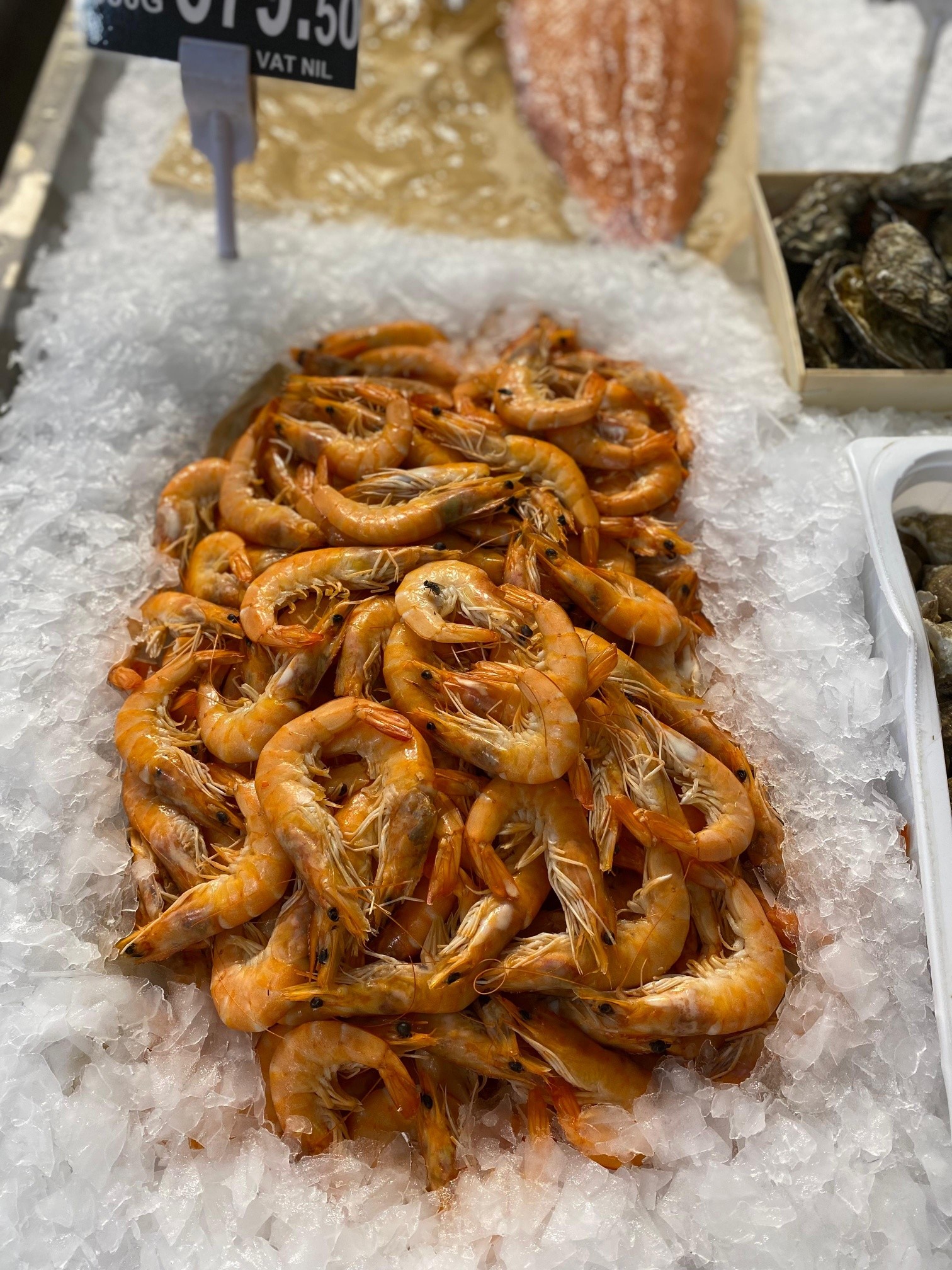 No photo description available.