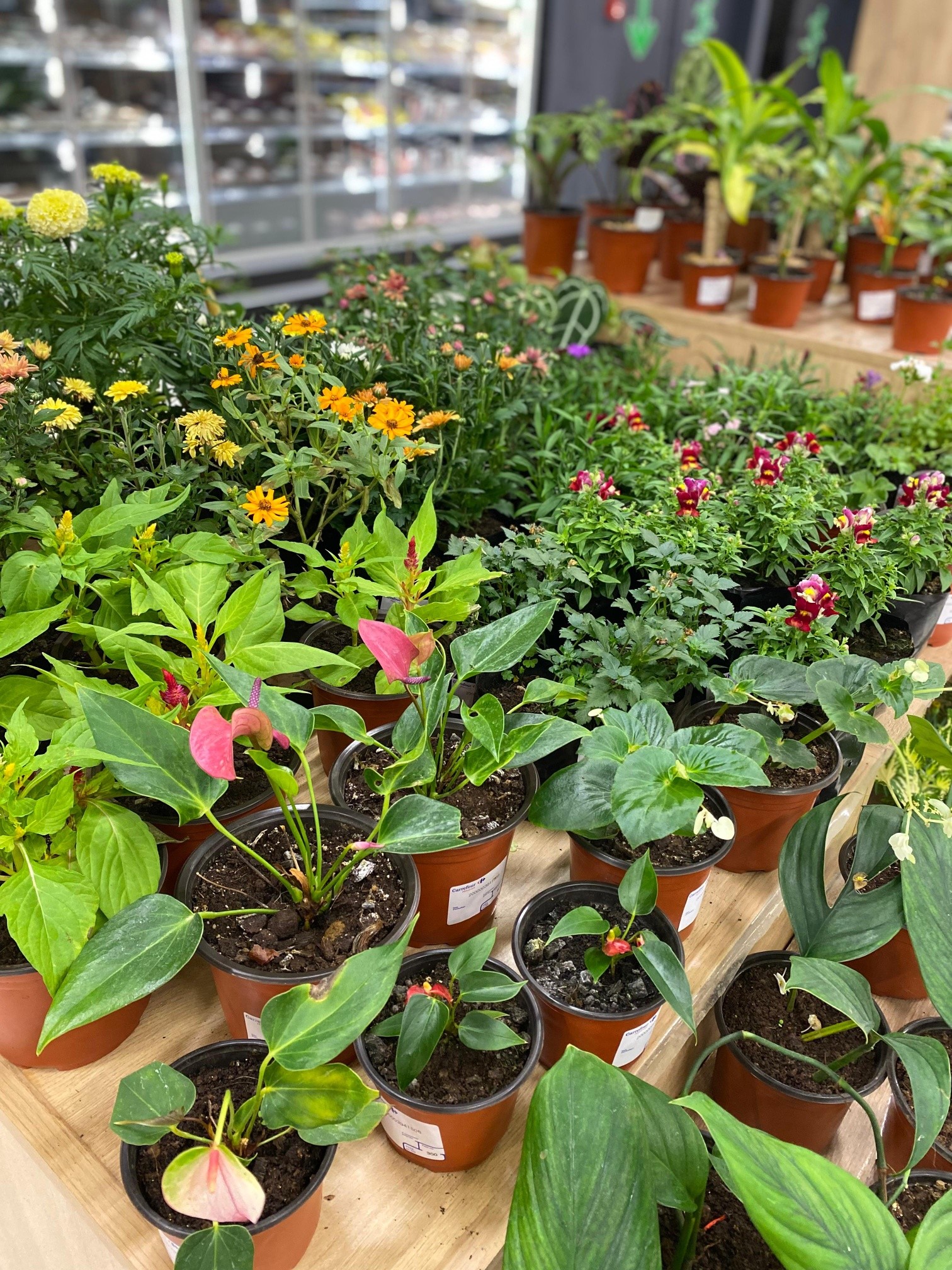 No photo description available.