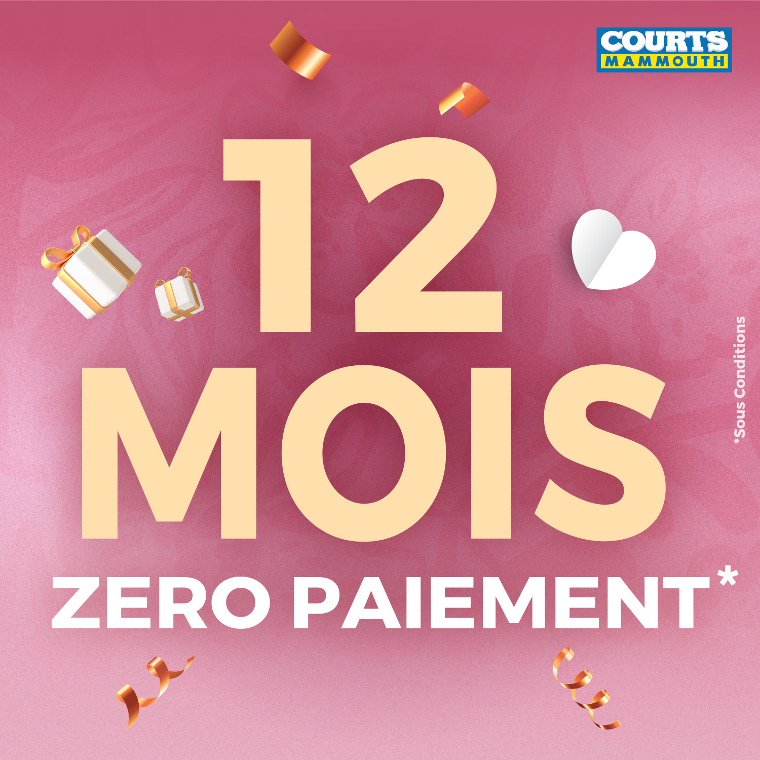 May be an image of text that says "COURTS MAMMOUTH 12 MOIS Conanan Stos ZERO PAIEMENT*"