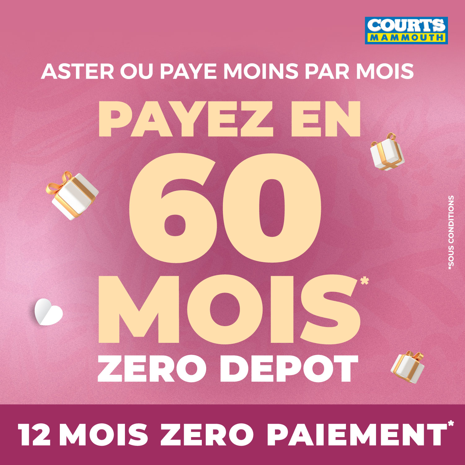 May be an image of text that says "COURTS MAMMOUTH ASTER OU PAYE MOINS PAR MOIS PAYEZ EN 60 MOIS ZERO DEPOT SANON S055 12 MOIS ZERO PAIEMENT"