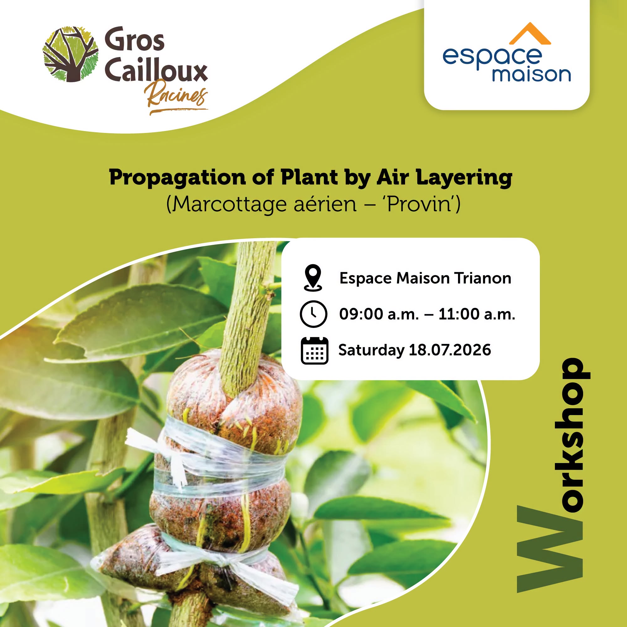 May be an image of text that says "Gros Cailloux Kacines espace maison Propagation of Plant by Air Layering (Marcottage aérien 'Provin') Espace Maison Trianon 09:00 a.m. 11：00 a.m. Saturday18.07.2026 Saturday 18.07.2026 ልፋሬው อด 3"