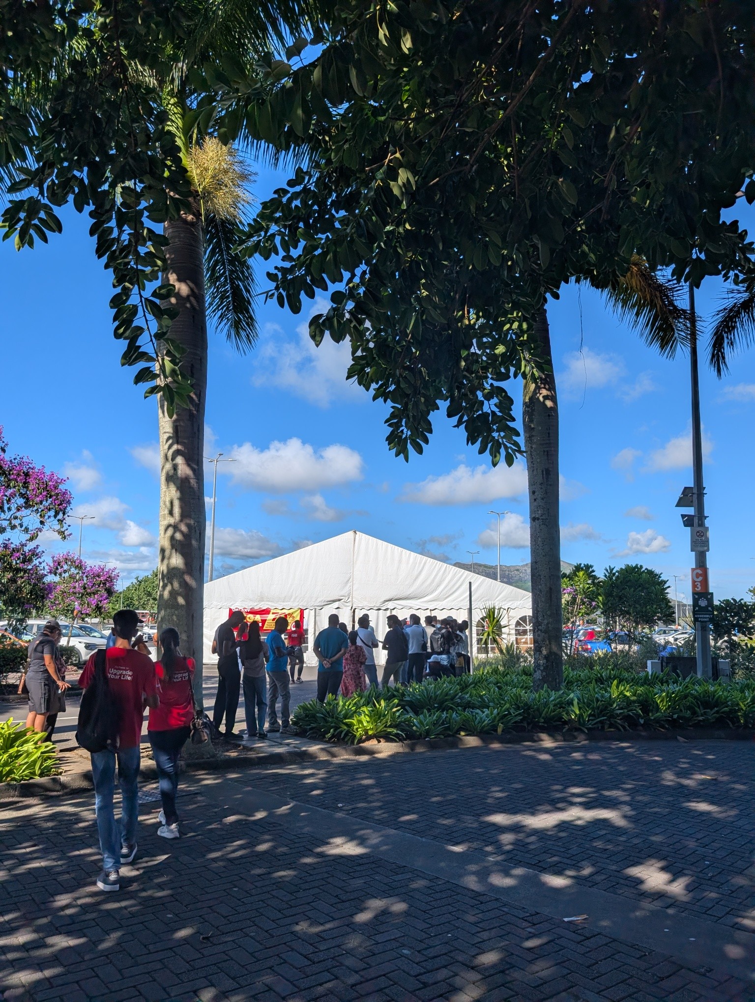 May be an image of tree